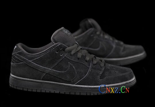 Nike Dunk Low Pro BlackoutЬ